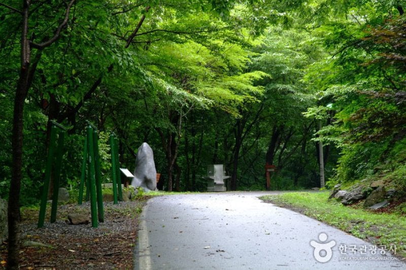 Seongjusan Recreational Forest (성주산자연휴양림) (10/15)