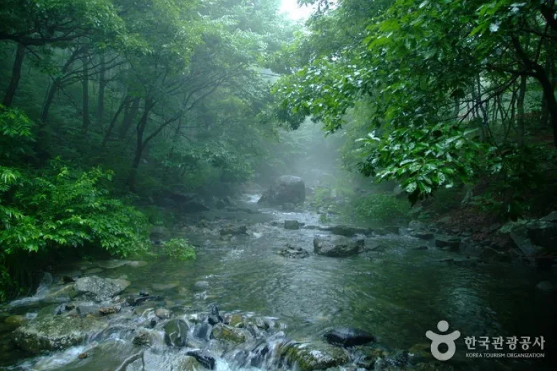 Seongjusan Recreational Forest (성주산자연휴양림) (11/15)