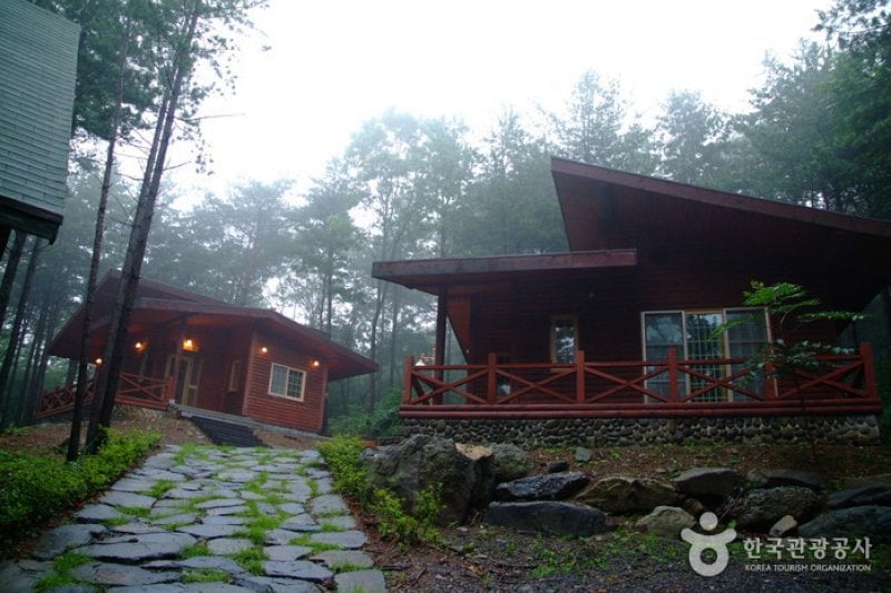 Seongjusan Recreational Forest (성주산자연휴양림) (13/15)