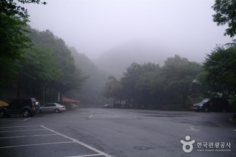 Seongjusan Recreational Forest (성주산자연휴양림) (14/15)