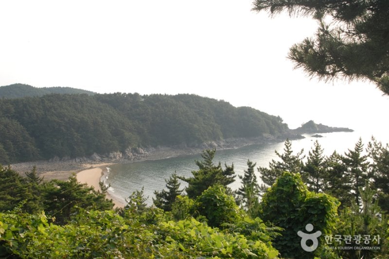 Baengnipo Beach (백리포해수욕장) (4/7)