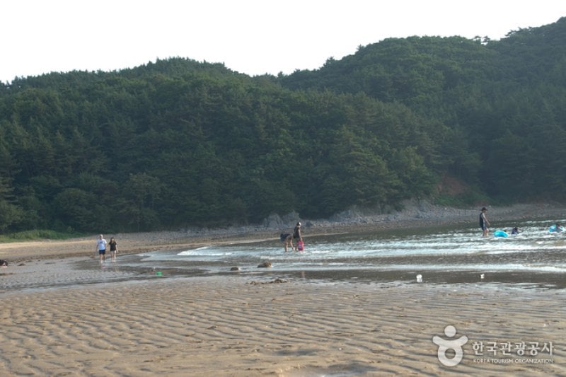 Baengnipo Beach (백리포해수욕장) (7/7)