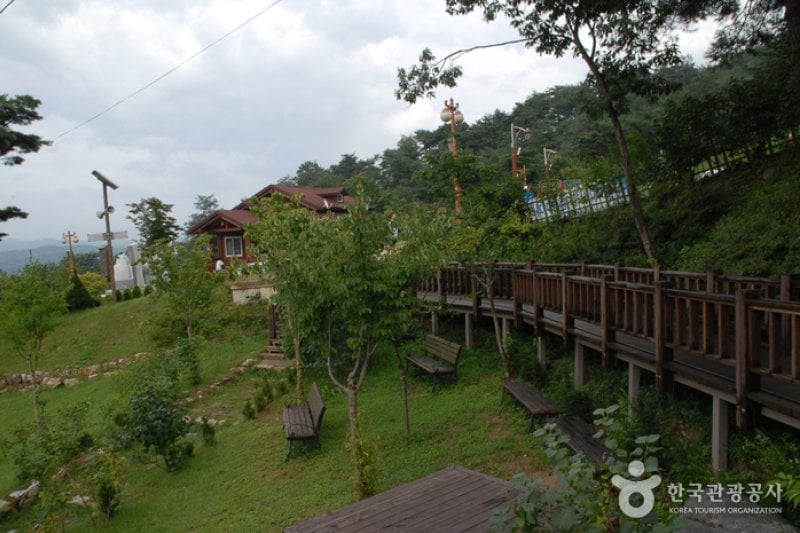 Bongsusan Recreational Forest (봉수산 자연휴양림) (2/8)
