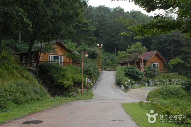 Bongsusan Recreational Forest (봉수산 자연휴양림) (4/8)