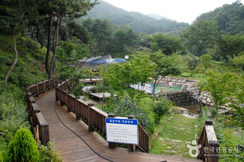 Bongsusan Recreational Forest (봉수산 자연휴양림) (5/8)