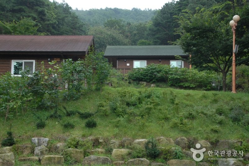 Bongsusan Recreational Forest (봉수산 자연휴양림) (7/8)