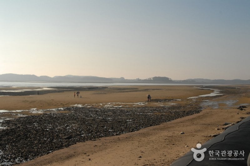 Baeksajang Beach  (3/11)