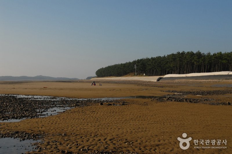Baeksajang Beach  (5/11)