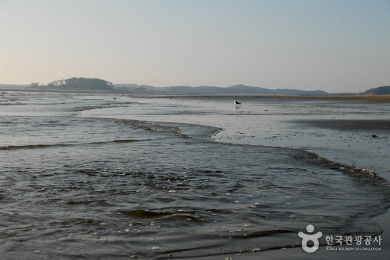 Baeksajang Beach  (7/11)