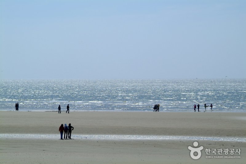 Baeksajang Beach  (10/11)