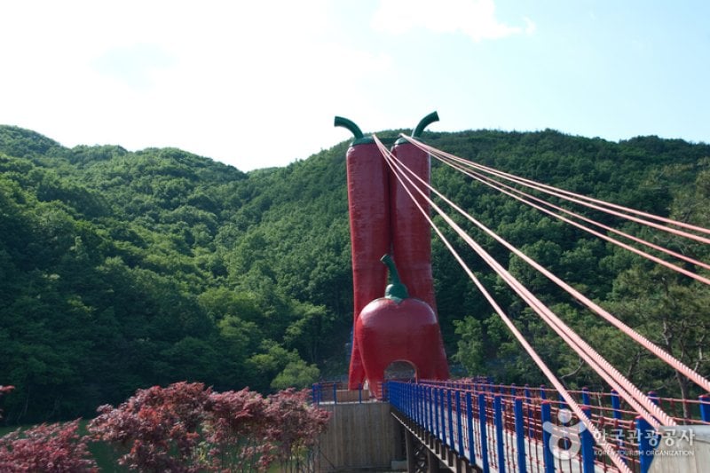 Cheonjangho Lake (천장호) (8/8)