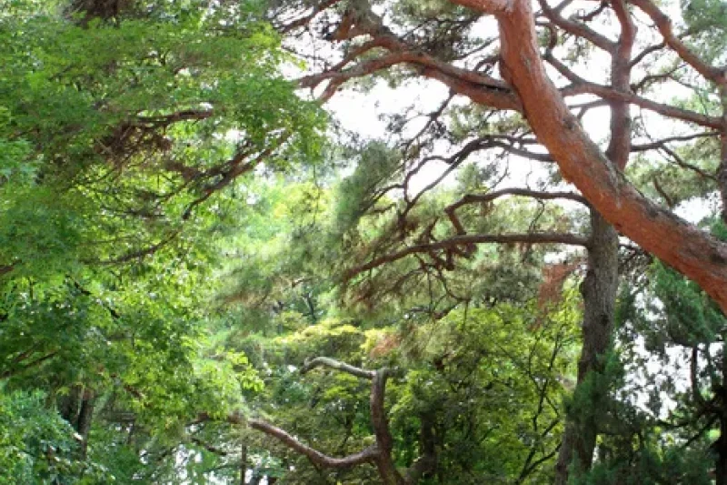 Asan-si Hot Springs Special Tourist Zone  (9/9)