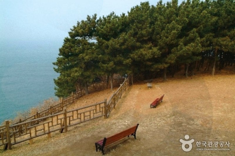 Seocheon Dalgogae Mosi  (5/11)