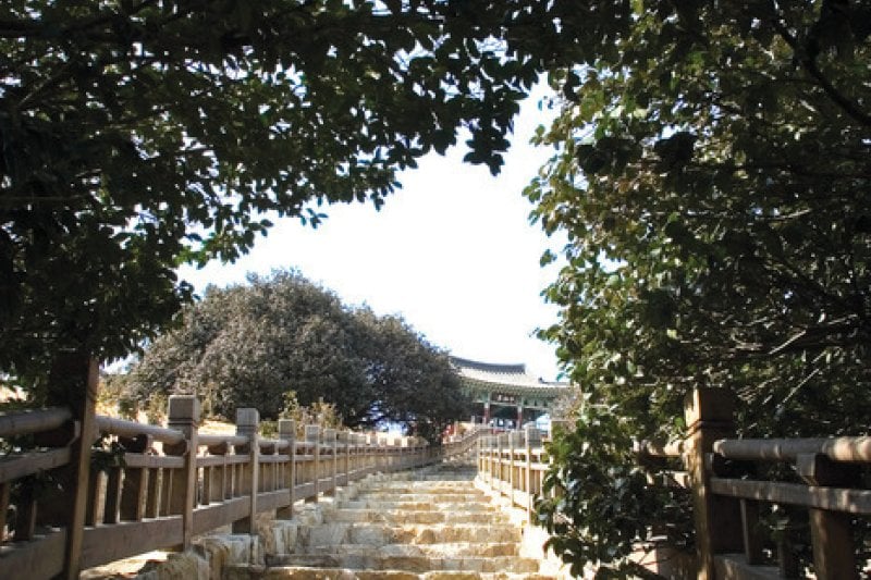 Seocheon Dalgogae Mosi  (6/11)