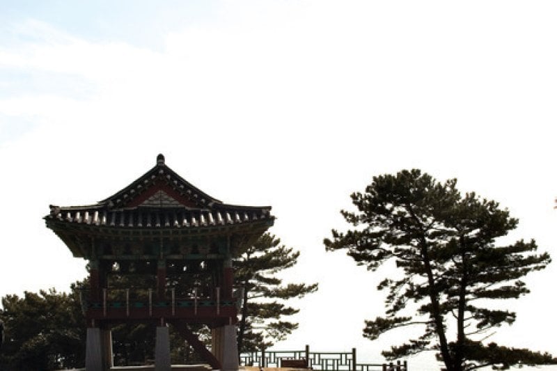 Seocheon Dalgogae Mosi  (7/11)