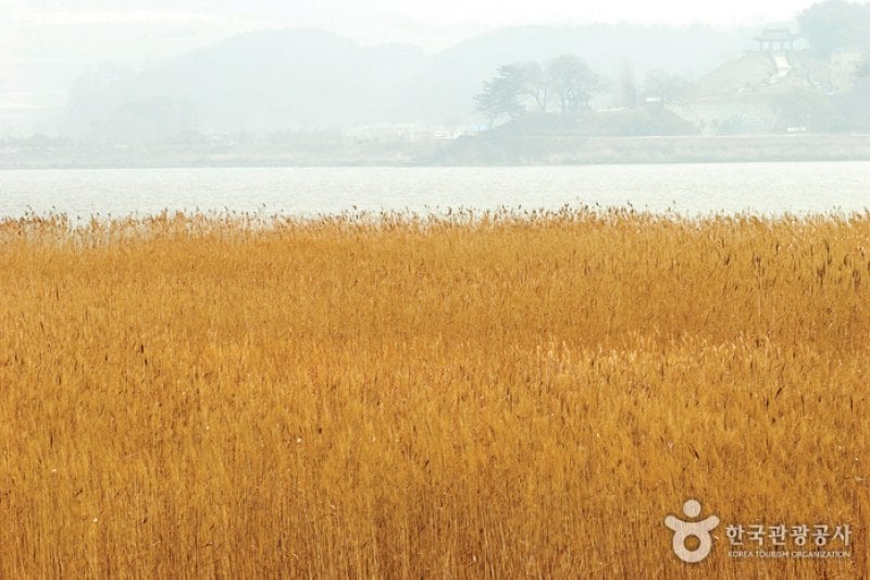 Seocheon Dalgogae Mosi  (9/11)