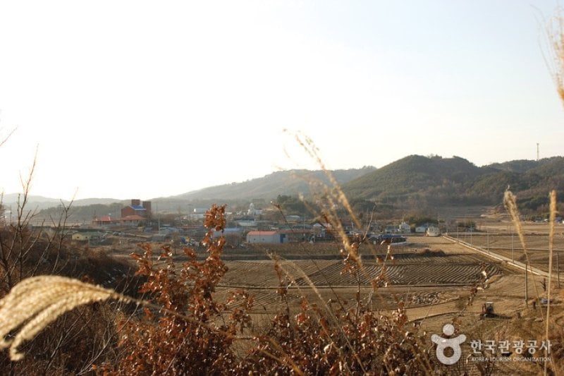 Seocheon Dalgogae Mosi  (11/11)