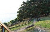 Seocheon Maryang-ri Camellia Forest 