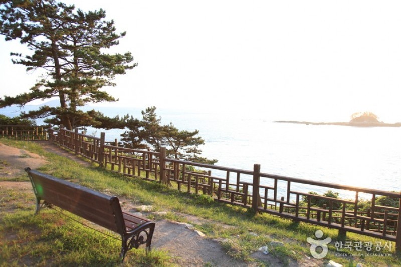Seocheon Maryang-ri Camellia Forest  (3/17)