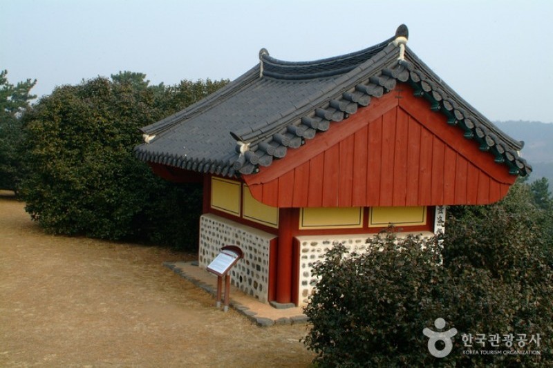 Seocheon Maryang-ri Camellia Forest  (4/17)