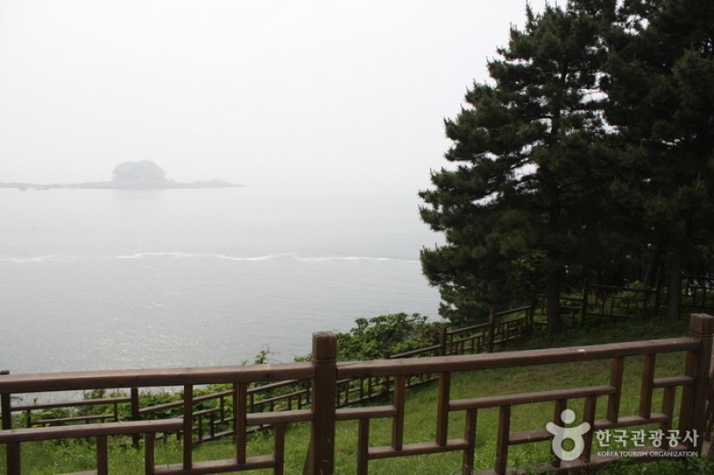 Seocheon Maryang-ri Camellia Forest  (7/17)
