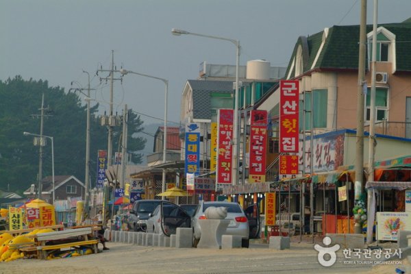 Muchangpo Mystic Sea Road Shrimp and Gizzard Shad Festival