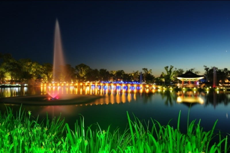 Buyeo Seodong Lotus Festival  (8/12)