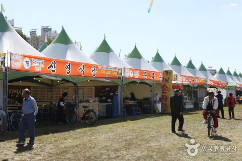 Ganggyeong Salted Seafood Festival  (1/2)