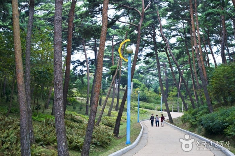Anmyeondo Island Recreational Forest  (11/24)