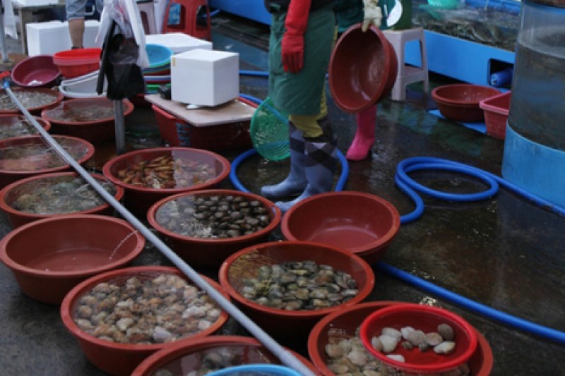 Hongwon Port Jeoneo  (3/5)