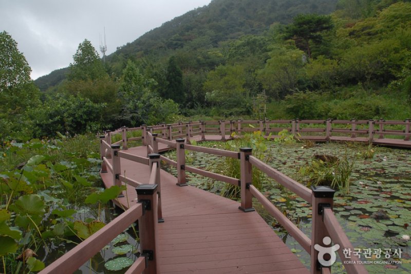 Kohwun Garden  (16/27)