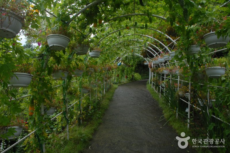 Kohwun Garden  (21/27)