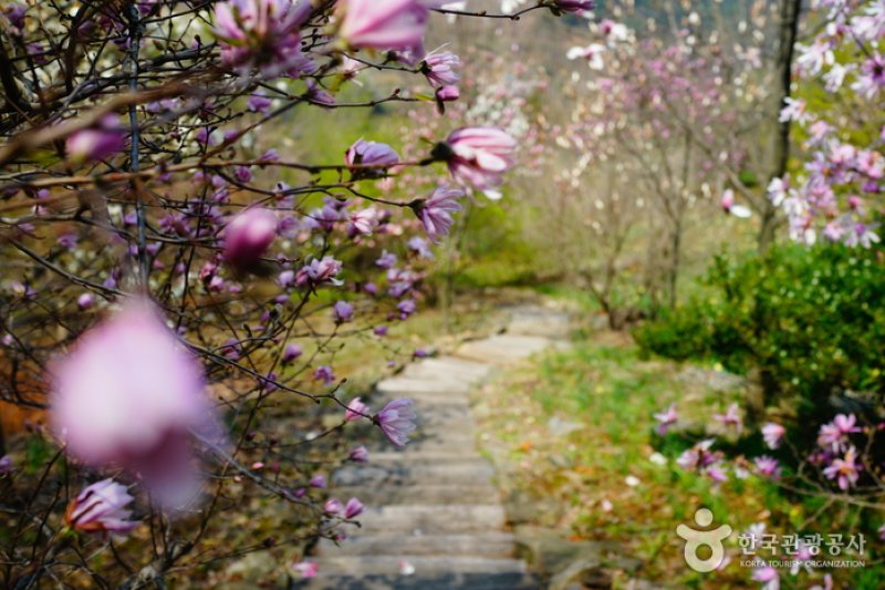 Kohwun Garden  (26/27)