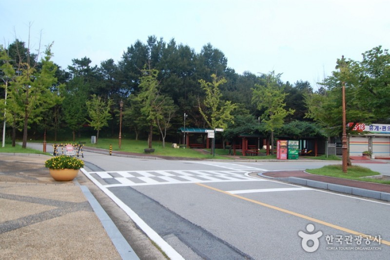 May 18th National Cemetery  (22/38)