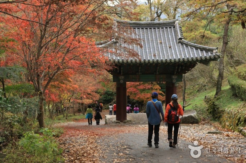 Jeungsimsa Temple  (1/33)