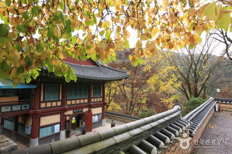 Jeungsimsa Temple  (24/33)