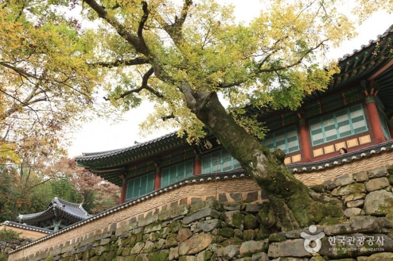 Jeungsimsa Temple  (29/33)