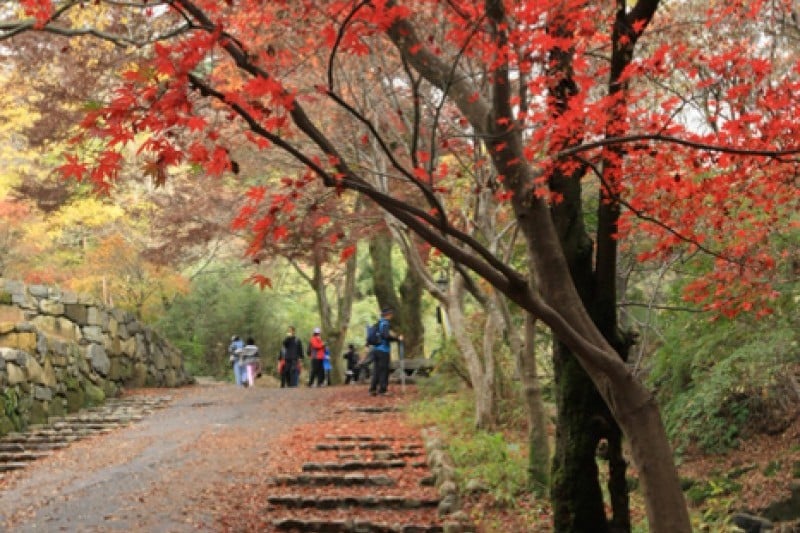 Jeungsimsa Temple  (30/33)