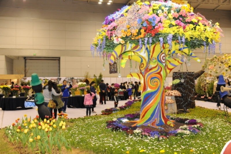 Gwangju Spring Flower Show  (2/4)