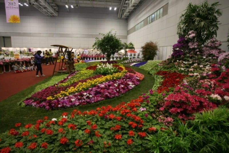 Gwangju Spring Flower Show  (3/4)