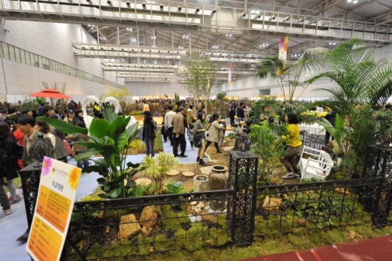 Gwangju Spring Flower Show  (4/4)