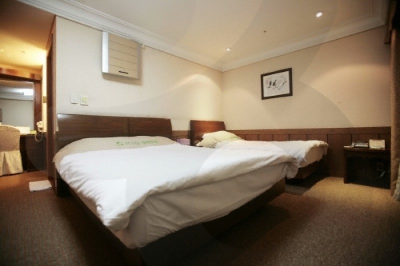 Tourist Hotel Masters  (16/28)