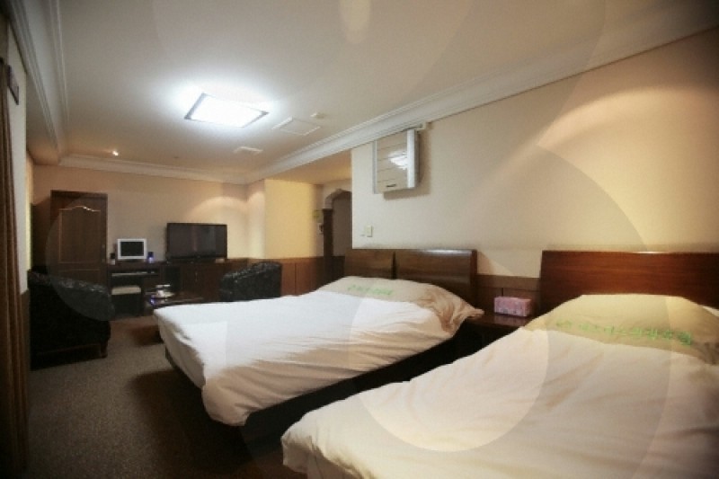 Tourist Hotel Masters  (17/28)