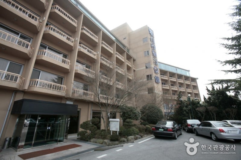 Shin Yang Park Hotel  (1/68)