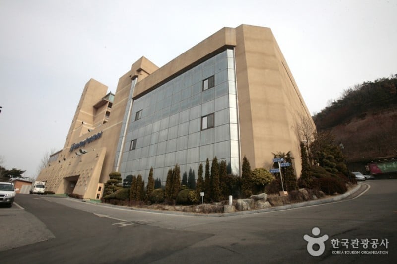 Shin Yang Park Hotel  (5/68)