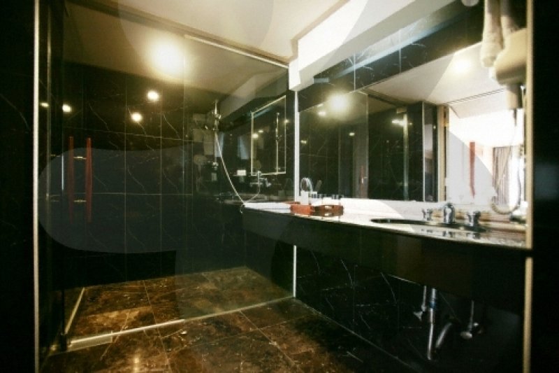 Shin Yang Park Hotel  (59/68)