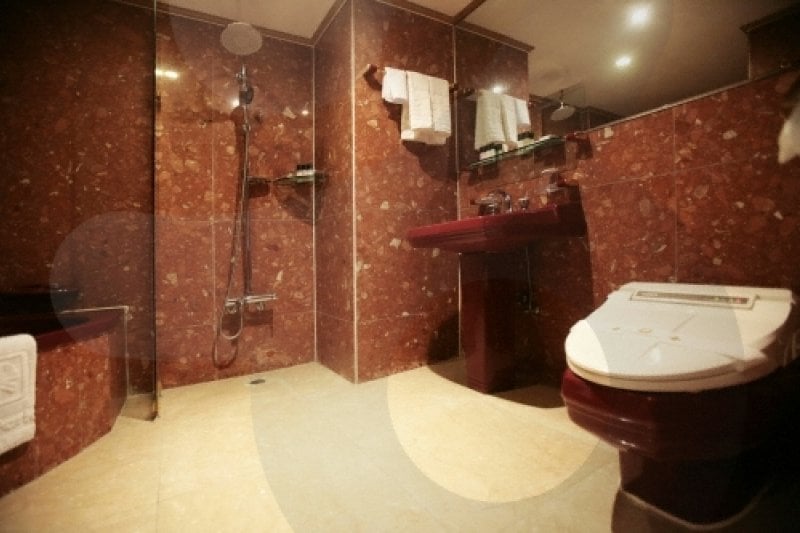 Shin Yang Park Hotel  (63/68)