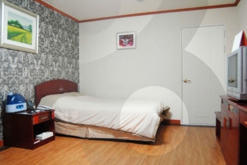 Hiddink Continental Tourist Hotel  (19/36)