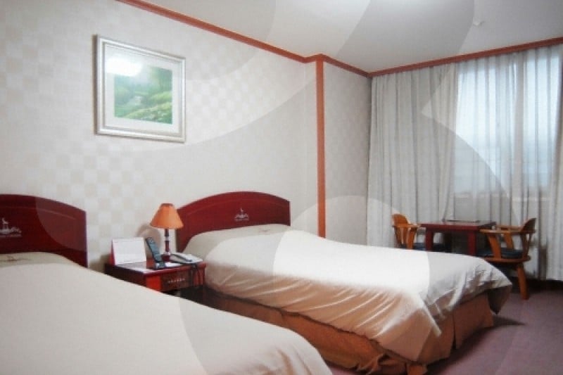 Hiddink Continental Tourist Hotel  (30/36)