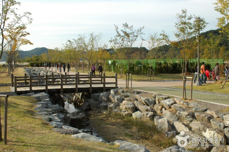 Gwangjuho Lake Eco Park (광주호 호수생태원) (1/20)